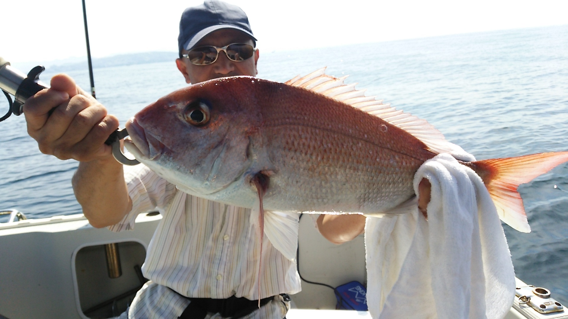 釣った魚を勝手にランキング Sun Boat Fishing Club