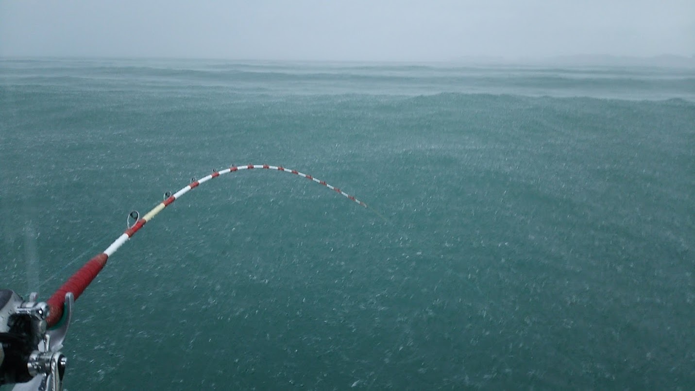 夏の終わりにご注意 Sun Boat Fishing Club