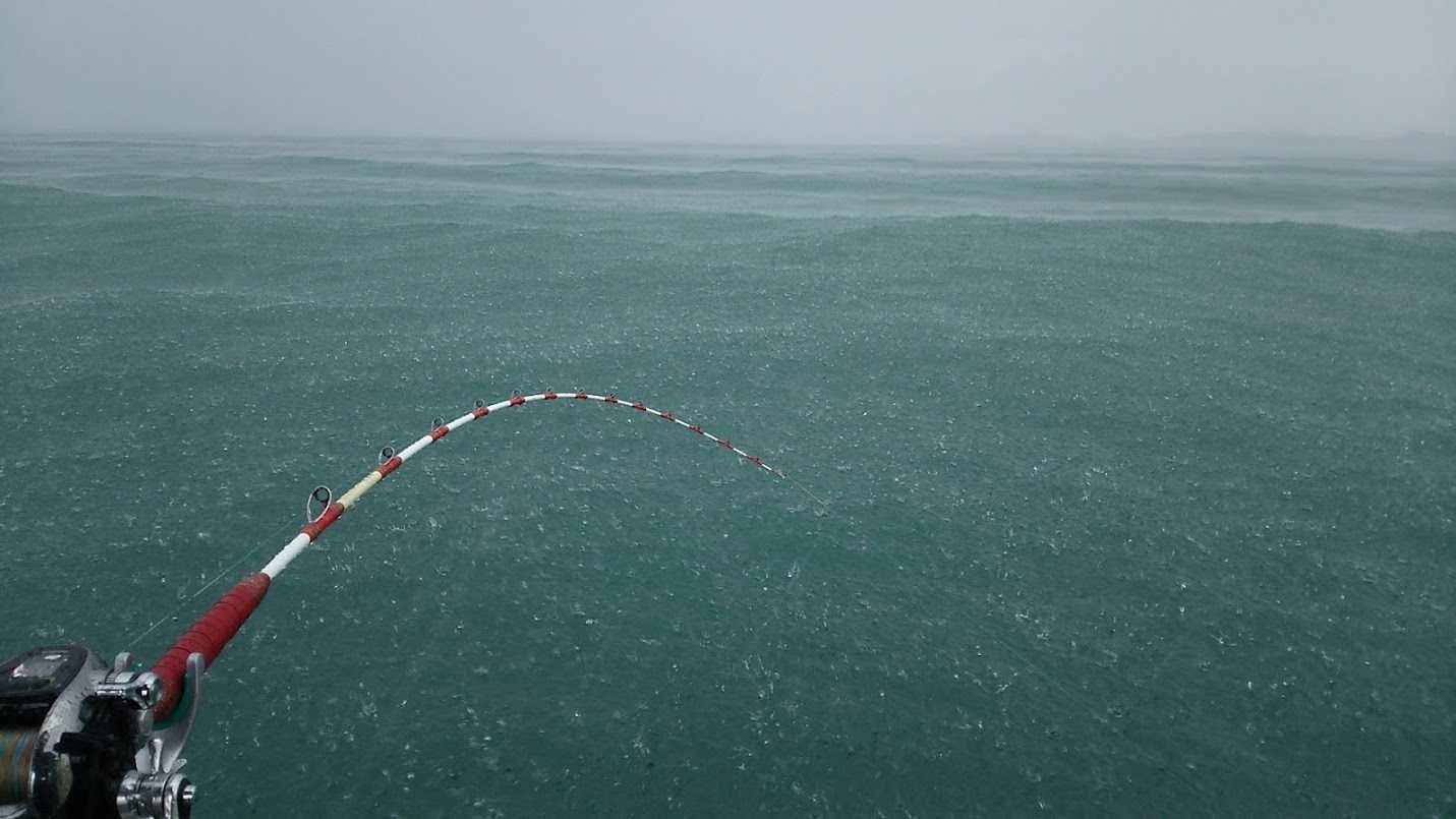 梅雨の中盤 雨対策が必要だ Sun Boat Fishing Club